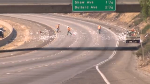 toilet paper, traffic, commute, clog, back up, toilet tissue, toilet, highway, news, california, fresno, oklahoma, union twonship, pennsylvania, windsoft