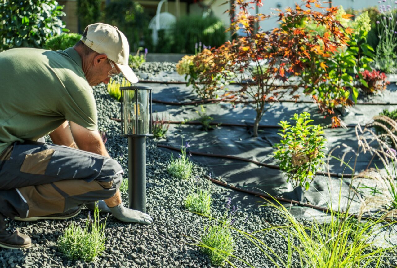A tech works on placing outdoor lighting fixtures among plants