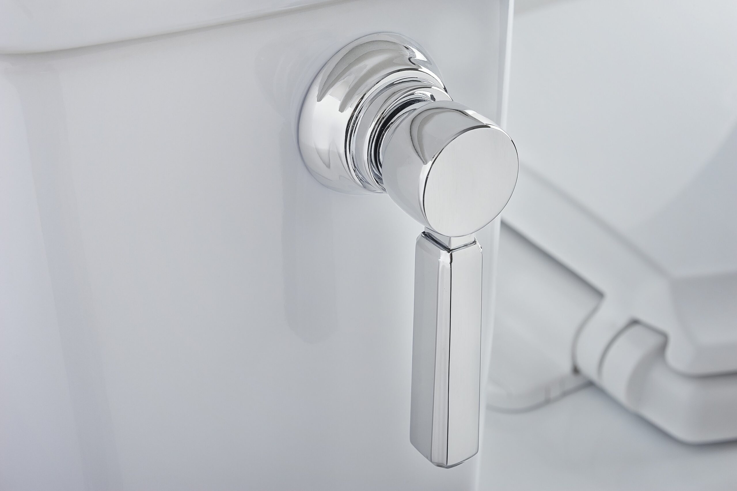 Close Up Toilet Handle Detail In White and Chrome